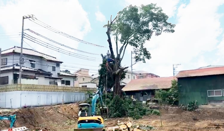 事業内容の紹介